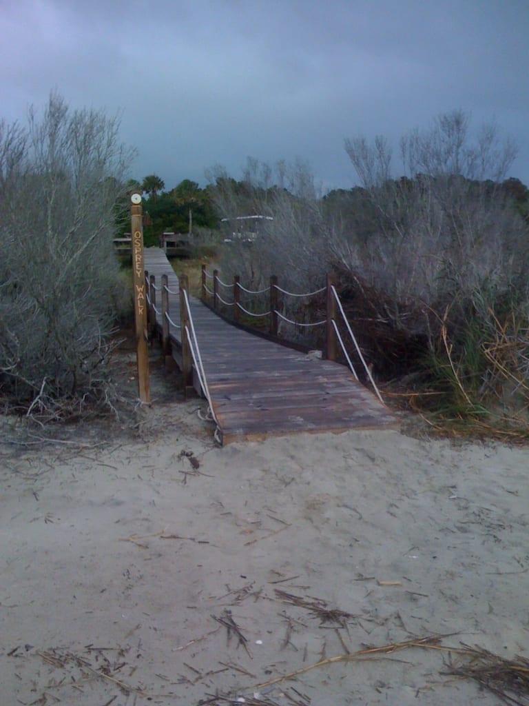 osprey-walk The New Osprey Walk